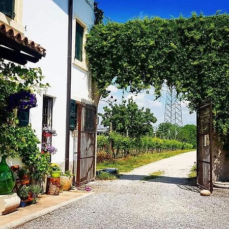 Corte Le Vigne Bed and Breakfast Verona Eksteriør billede